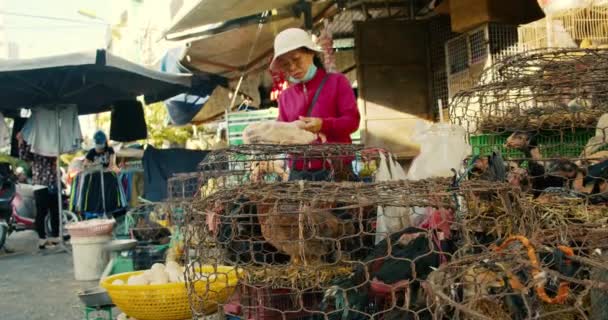 Han Hoa Province,Vietnam May 9,2021. Woman removes bird feathers from a bird that is for sale for eating a goose Market selling live birds chickens, geese, ducks, street market in tourist city of Asia — Stock Video