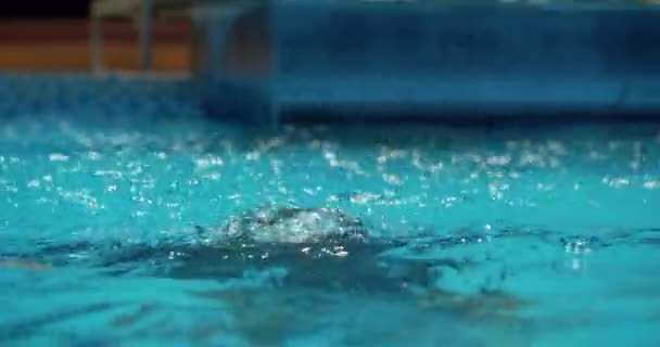 Professionele zwemmer, portret van een zwemmer in een waterbril komt uit het water in het zwembad. Sport concept, zwemmen kruipen, zwemmen in het zwembad, professionele zwemmer. — Stockvideo