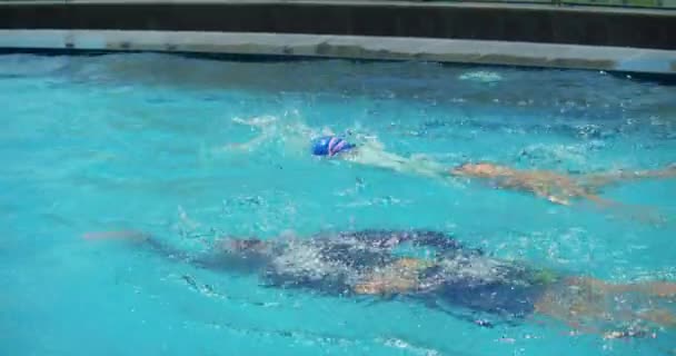 Konzeptsport. Professionelle Schwimmer, Wettbewerb von Männern und Frauen, die im Pool schneller schwimmen werden.Sportkonzept, Schwimmen kriechen, Schwimmen im Pool, Profischwimmer — Stockvideo