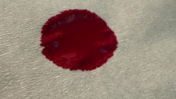 Rotes Blut. Nahaufnahme Rotes Blut tropft auf ein weißes Tuch, Blut wird in eine Weißbuch-Serviette absorbiert, Makroaufnahme. — Stockvideo