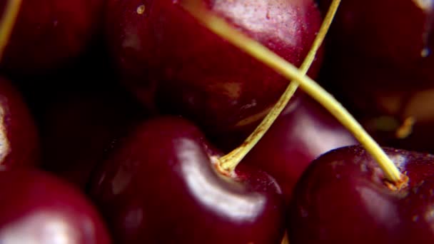 Fresca suculenta rotação de cereja vermelha molhada. Cerejas frescas em um suporte de madeira faz uma rotação 360. Bagas de cereja de pássaro. Movimento do laço — Vídeo de Stock