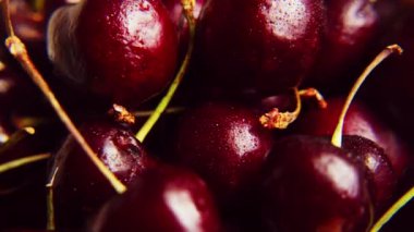 Taze sulu, ıslak, kırmızı kiraz rotasyonu. Tahta tezgahta taze kirazlar 360 tur yapar. Kuş kirazı. Döngü hareketi
