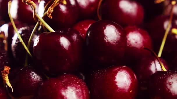 Fresh juicy wet red cherry rotation. Fresh cherries on a wooden stand makes a 360 rotation. Bird-cherry berries. Loop motion — Stock Video