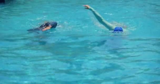 Concetto sport, lotta, volontà di vincere, stile di vita attivo.Nuotatori professionisti, competizione di uomini e donne che nuoteranno più velocemente in piscina.Concetto sportivo, nuoto strisciante, nuoto in piscina, nuotatore professionista — Video Stock