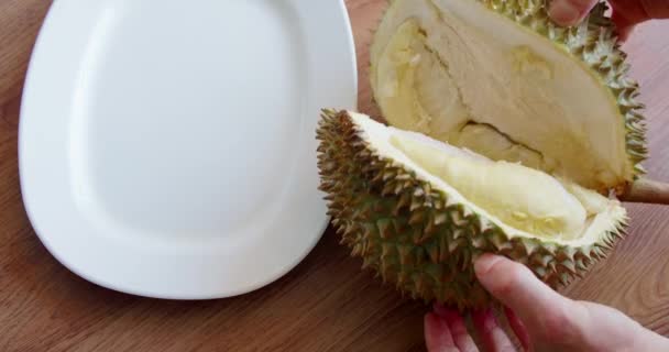 Homem jardineiro cortado durian aberto, carne aberta de durian gostoso amarelo orgânico gostoso no fundo borrado, durian fresco no fundo da fazenda natural. — Vídeo de Stock