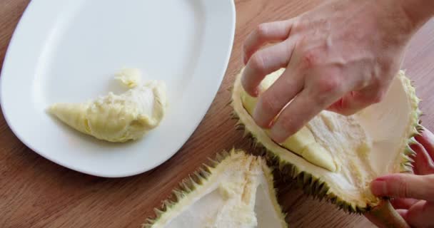 Giardiniere uomo tagliato aperto durian, carne aperta di yummy giallo biologico yummy durian su sfondo sfocato, fresco durian su sfondo naturale fattoria. — Video Stock