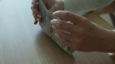 Kadın para sayıyor. Eller Vietnam dong faturalarını sayarken ya da para geçmişinde nakit ödeme yaparken. Yatırım, başarı, finansal beklentiler veya kariyer ilerlemesi kavramı.