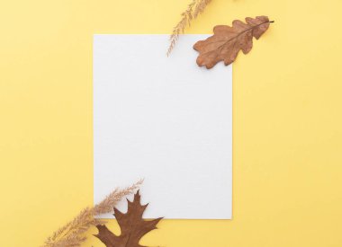 Sadece sonbahar kompozisyonu, beyaz boş tuval, ağaç yaprakları ve kuru çimenler, metin için boşluk