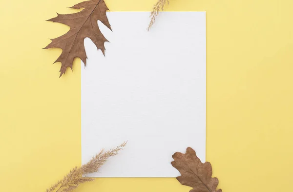 Einfach Herbstliche Komposition Layout Mit Weißer Leerer Leinwand Laub Und — Stockfoto