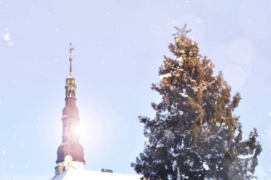 Tallinn 'deki Town Hall Meydanı' nda Noel ağacı Tallinn, Estonya 'da karlı kış günü