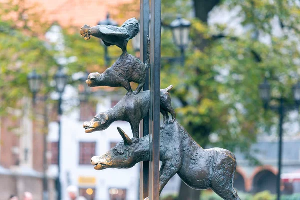 Riga Octubre 2018 Escultura Ciudad Músicos Bremen Casco Antiguo Riga — Foto de Stock