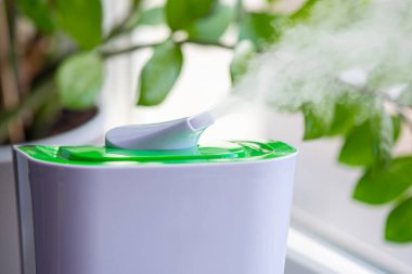 Nemlendiricinin buharı yakın plan, bir odada yeşil çiçek. 