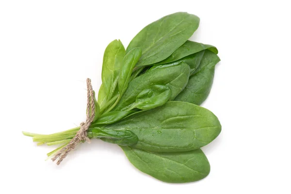 Bunch Young Fresh Green Spinach Rope Isolated White Top View — Stock Photo, Image