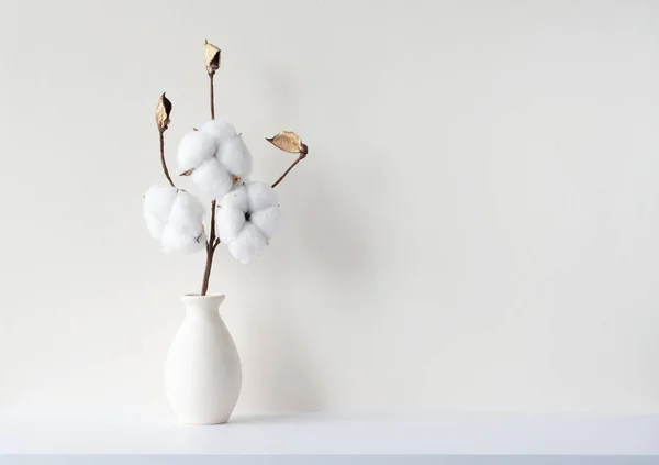 Minimal Composition Branch Dried Cotton Flower Vasa Empty Room Beige — Stock Photo, Image