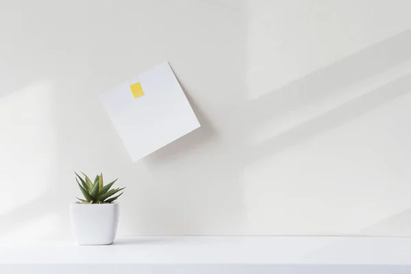 Composition with minimal objects on white desk. White paper square note over table in office. Interior with abstract shadowas during sunny day.