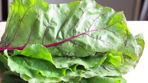 Fogliame Barbabietole Foglie Verdi Barbabietola Sul Tavolo Della Cucina Primo — Video Stock