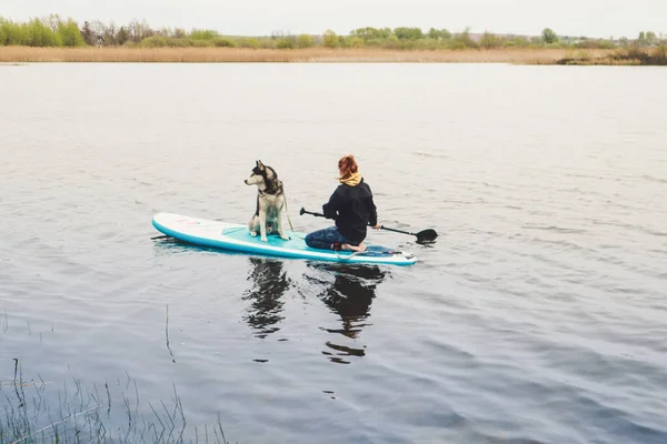 Mädchen Schwimmt Mit Husky Hund Auf Einem Brett Spaziergang See — Stockfoto