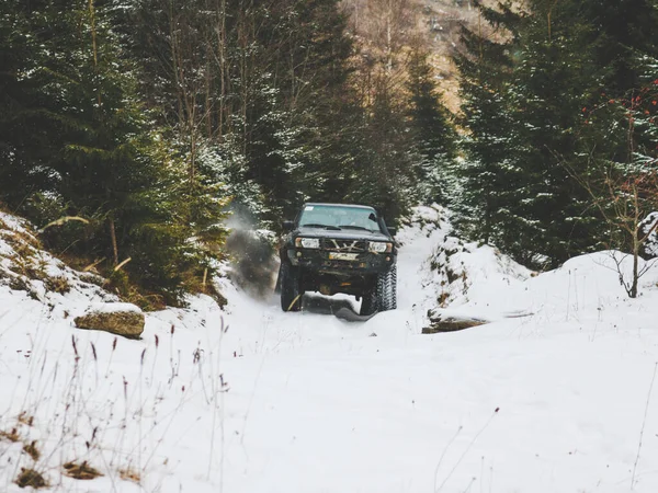 Offroad Autofahrt Durch Die Ukrainischen Karpaten Winter Weihnachtsbäume Und Verschneite — Stockfoto