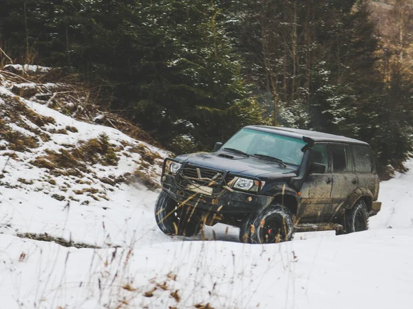 Viaje Coche Todoterreno Través Los Cárpatos Ucranianos Invierno Árboles Navidad — Foto de Stock