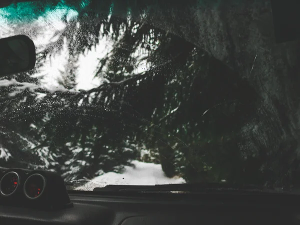 Offroad Car Trip Ukrainian Carpathians Winter View Window Christmas Tree — Stock Photo, Image