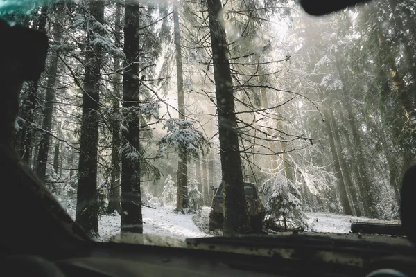 冬季越野车穿越乌克兰喀尔巴阡山脉 从窗户 圣诞树和雪地的道路上眺望 外部远征美丽的阳光 — 图库照片
