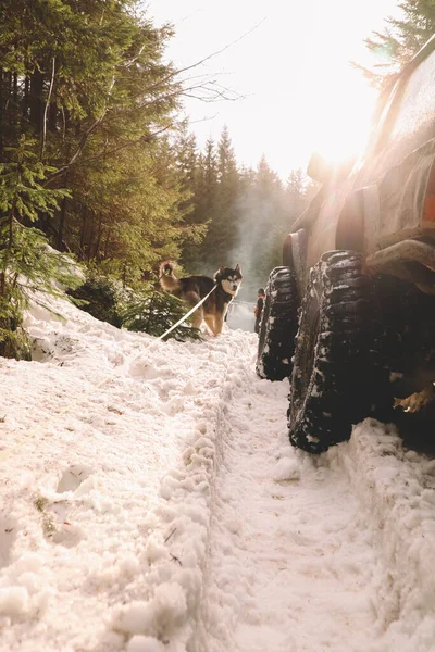 Carros Sujos Rodas Nas Montanhas Pântano Nos Pneus Viagens Offroad — Fotografia de Stock