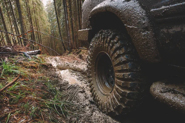 Smutsiga Bilar Och Hjul Bergen Träsk Däcken Trippar Offroad Över — Stockfoto