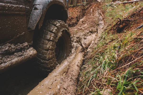 Des Voitures Sales Des Roues Dans Les Montagnes Marais Sur — Photo