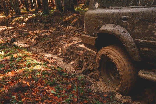 Carros Sujos Rodas Nas Montanhas Pântano Nos Pneus Viagens Offroad — Fotografia de Stock