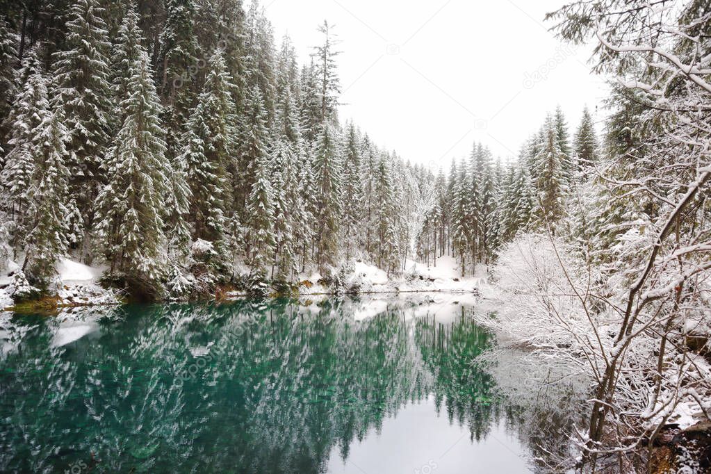 Crystal clear mountain. Lake Rosohan in winter with snow. Emerald trees and turquoise lake water. Ukrainian Carpathian Mountains