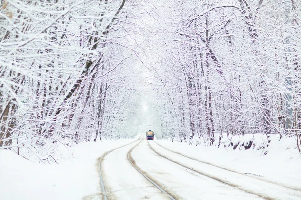 Tram in inverno Parco . — Foto Stock