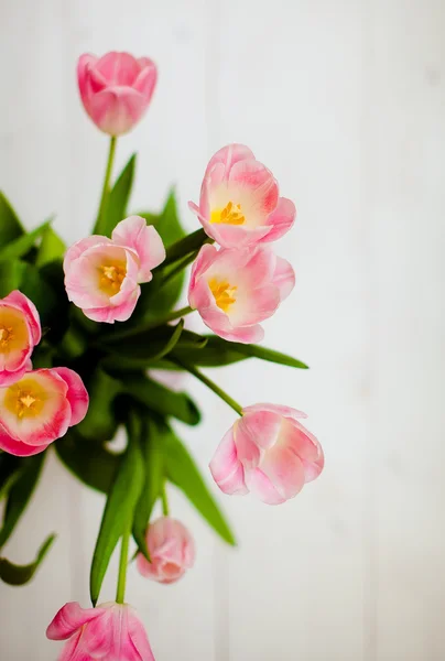 郁金香花束. 图库图片