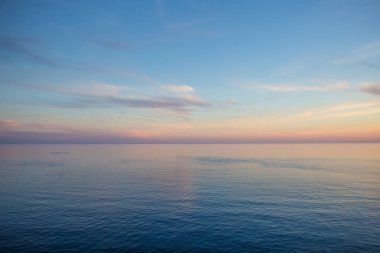 Sahil Günbatımında Uçan Martı