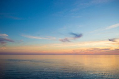 Sahil Günbatımında Uçan Martı