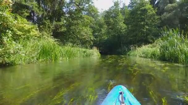 Navegación Por Río Rospuda — Vídeo de stock