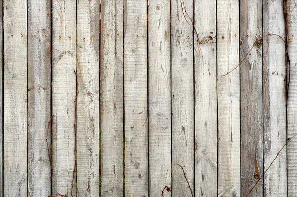 Tábuas de madeira de aflição — Fotografia de Stock
