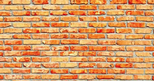 Brickwall Zoomout Achtergrond — Stockvideo