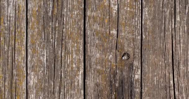 Zoom de fondo de madera — Vídeo de stock