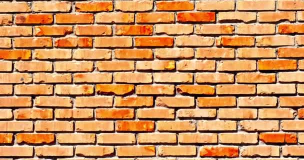 Brickwall Zoomout Fundo — Vídeo de Stock