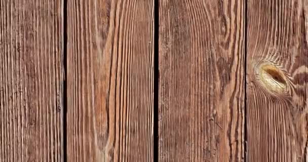 Diperbesar Keluar Wooden Latar Belakang — Stok Video