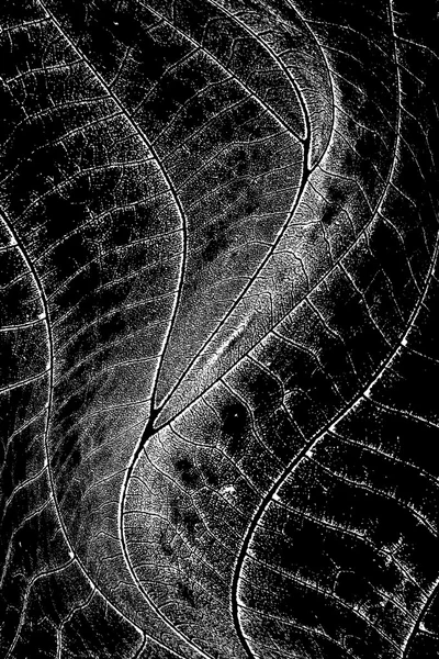 수직 배경 물결 모양의 잎 — 스톡 벡터