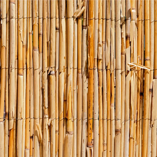 編み枝細工のフェンスのテクスチャ — ストックベクタ