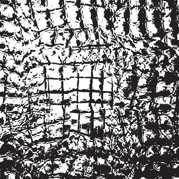 Skin Crocodile Vector Graphics