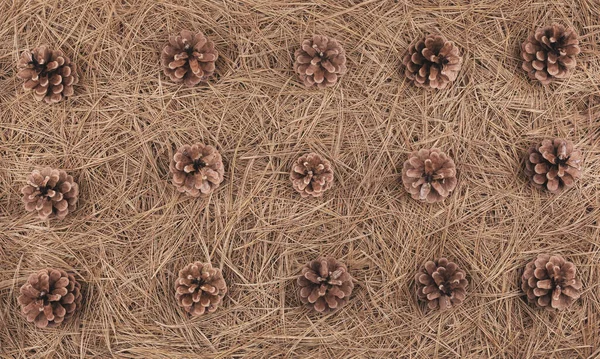 コピースペースとパインコーン季節の背景 自然な茶色の質感 — ストック写真