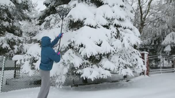 Dospělý Muž Odstraňuje Sníh Stromů Zahradě Aktivita Zimních Lidí — Stock video