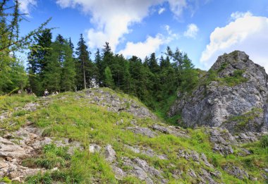 Yazın dağ manzarası. Tatra Dağları, Karpat Dağları, Polonya 'daki Burun Tepesinden Görünüm