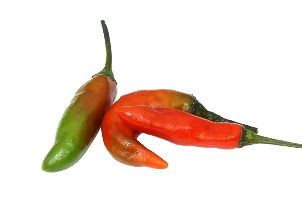 Rote Chilischote — Stockfoto