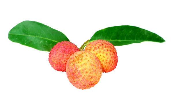 Fresh Lichi — Stock Photo, Image