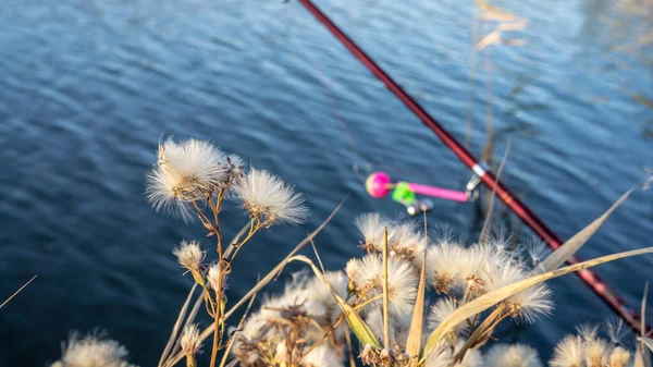 秋に湖に鐘を持つ釣竿 ビネット付きのトーン写真 — ストック写真