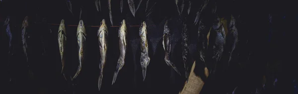 Pescado Seco Colgado Una Cuerda Una Habitación Oscura Concepto Cocinar —  Fotos de Stock
